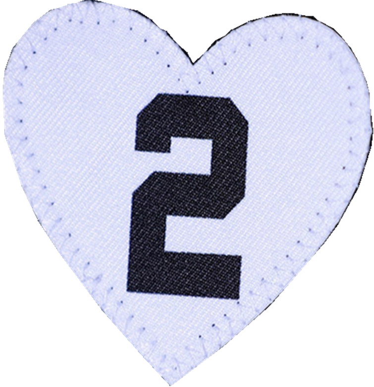Kobe’s Daughter Gianna #2 patch