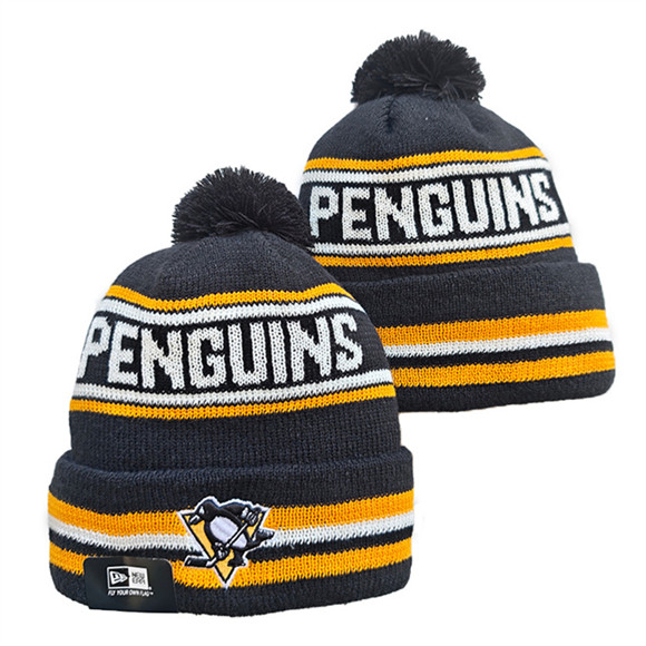 Pittsburgh Penguins 2025 Knit Hats